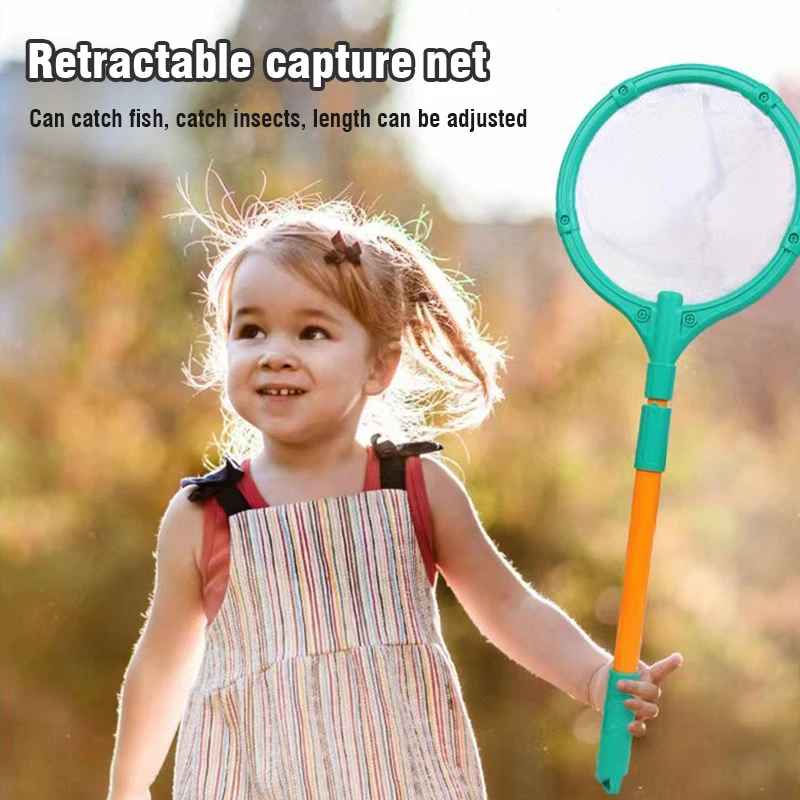 Insect Observation