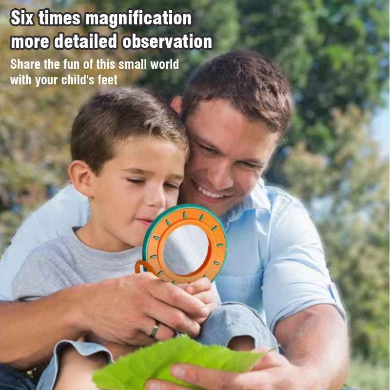 Insect Observation