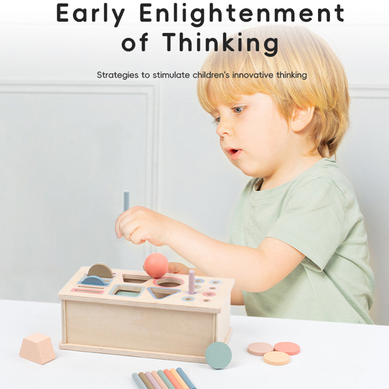 Baby Montessori Sensory Toy