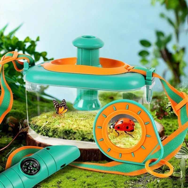 Insect Observation