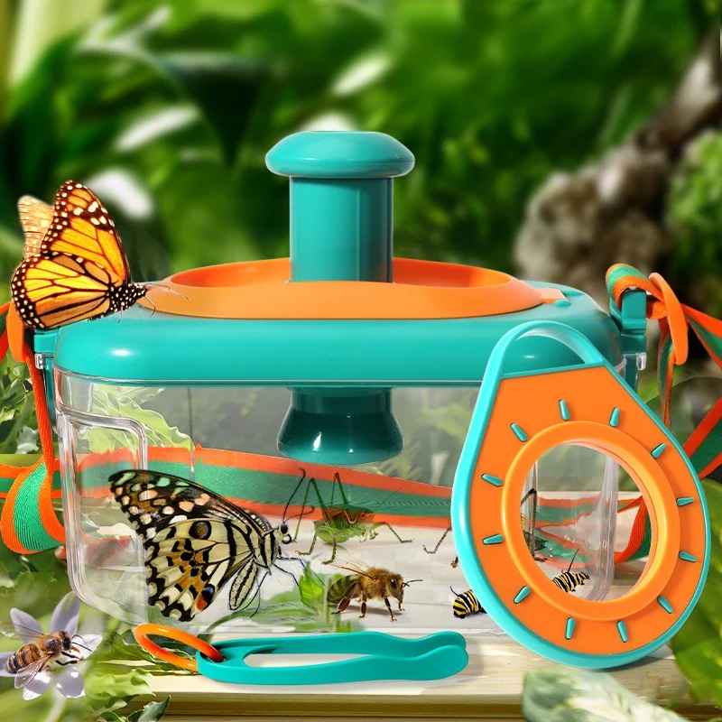 Insect Observation