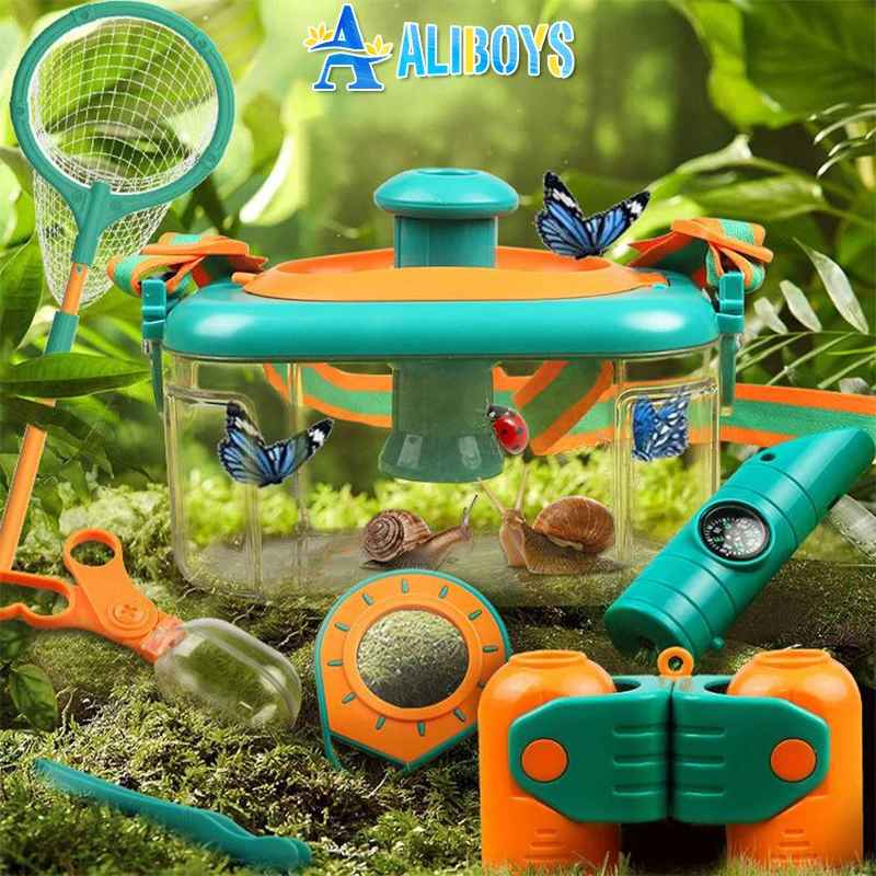 Insect Observation